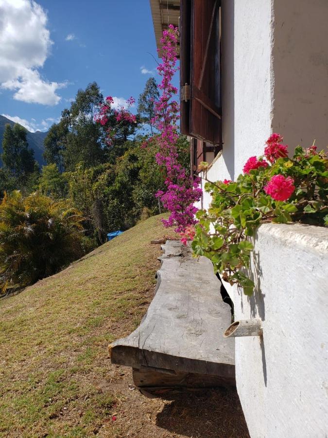 Hostel Picus Itamonte Dış mekan fotoğraf